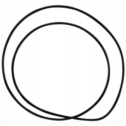 Oring 200mm 159001 05 1037 dana prieskonis