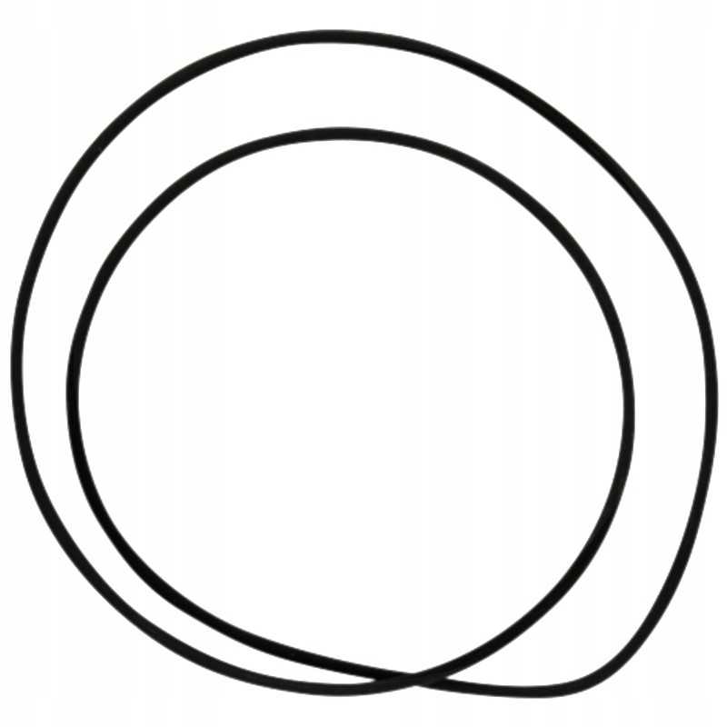 Oring 200mm 159001 05 1037 dana prieskonis