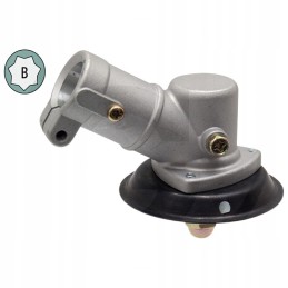 Kampinė pavaros galvutė