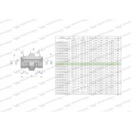 Colinė hidraulinė jungtis bb 5 8 BSP Warynski