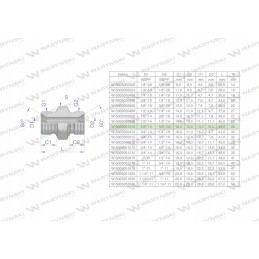 Colinė hidraulinė jungtis bb 5 8 BSP Warynski