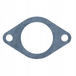 Renault tarpiklis 6005013397