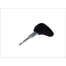 Bosch raktas 3 341 982 101