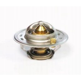 Termostatas David Brown k208039 k917962 motogeneric