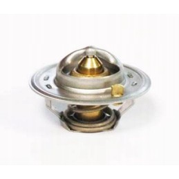 Termostatas David Brown k208039 k917962 motogeneric