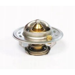 Termostatas David Brown k208039 k917962 motogeneric