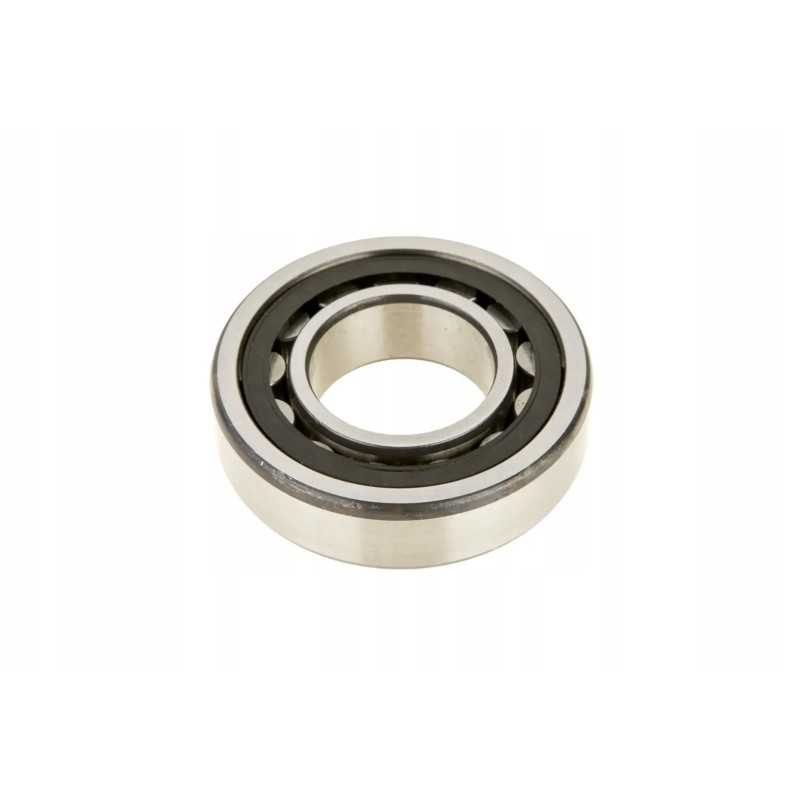 Nu206etvp2 cilindrinis ritininis guolis, skirtas peilio pavarai