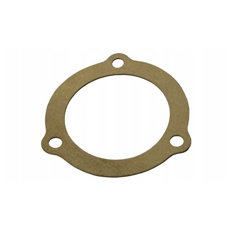 Alyvos filtro tarpiklis massey ferguson 1675294m1