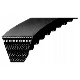Dantytas trapecinis diržas AVX 13 1775 mm AVX131775