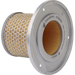 Vidinis oro filtras Donaldson P783501 AL782