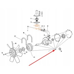 4l22bt 06100 2c vandens siurblys