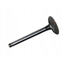 Įsiurbimo vožtuvas 1877717m92 massey ferguson perkins rm