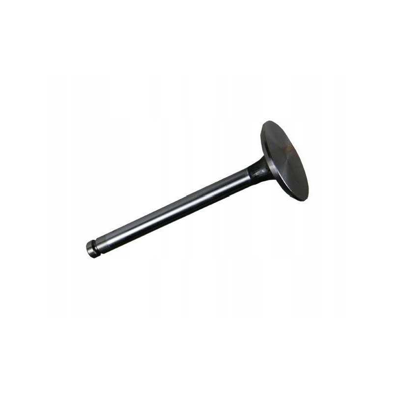 Įsiurbimo vožtuvas 1877717m92 massey ferguson perkins rm