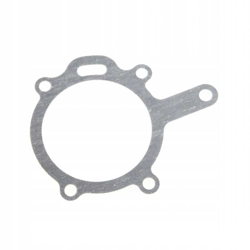 Vandens siurblio tarpinės mf 4222457m1 keitimas