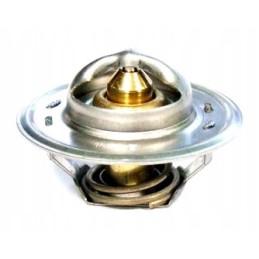 Ford termostatas 83916917