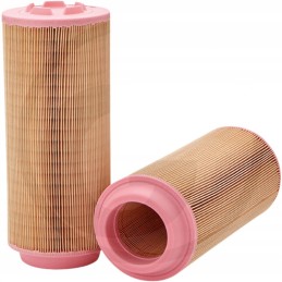 Lindner Fleetguard C15300 oro filtras