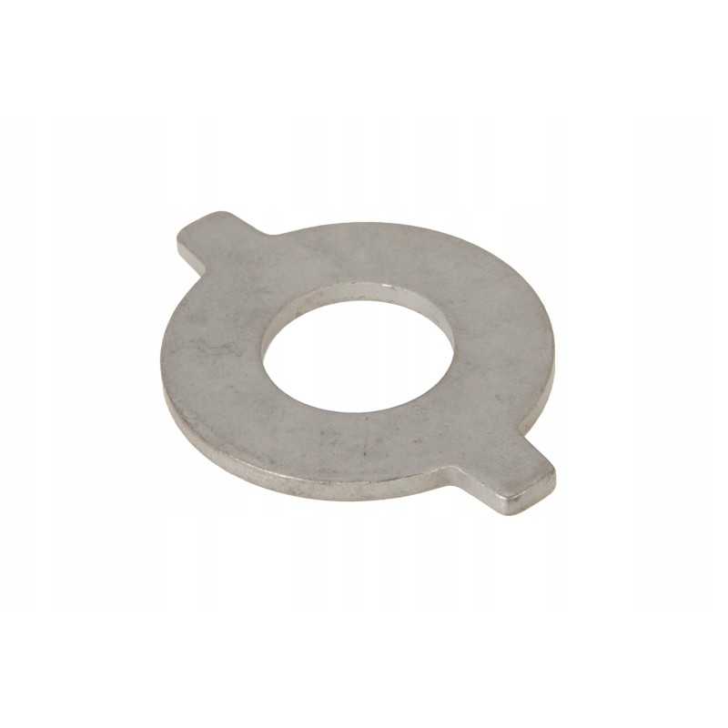 F198300020672 planetinės pavaros poveržlė