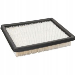 Salono oro filtras Re48882