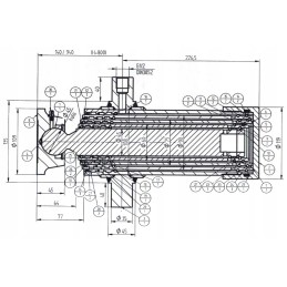 Hidraulinio cilindro pavara, eiga 800 mm, 7 tonos