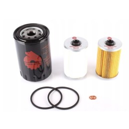 Donaldson išjungtas p952779 oro filtras