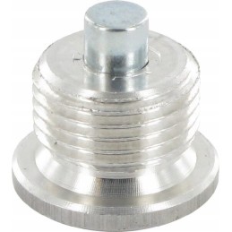 Magnetinis kaištis pavarų dėžės gaubtui 1 2 vnt. p