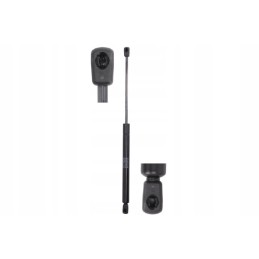 Dujinė spyruoklė stabilus 592285