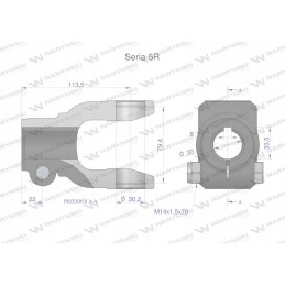 Šakės griovelis 8 sr anga 30 mm 30 2x79 4 serija 5r