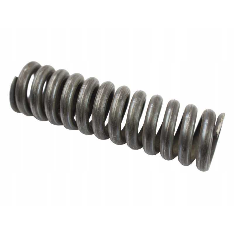 Slėgio spyruoklinis bizonas 5040420550 5040 42 055 0