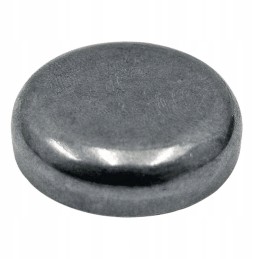 Variklio bloko kaištis 52x16mm 485443 52