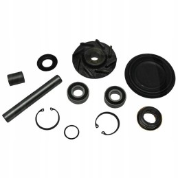 Steyr remonto komplektas 41100060801