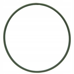 Oring fendt x548911100000