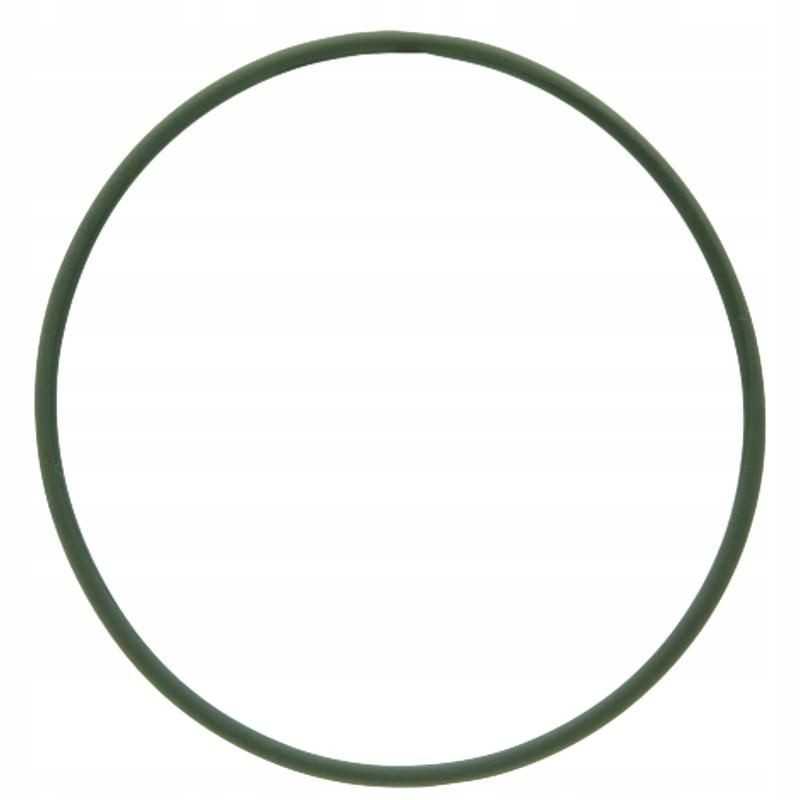 Oring fendt x548911100000