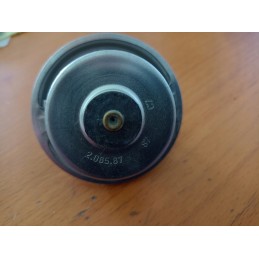 Termostatas 04224846 deutz 87 laipsniai