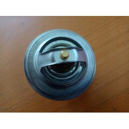 Termostatas 04224846 deutz 87 laipsniai