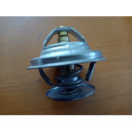 Termostatas 04224846 deutz 87 laipsniai