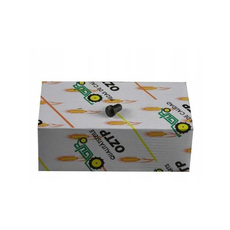 Vožtuvo reguliavimo varžtas deutz rm 2139600 rm 21396