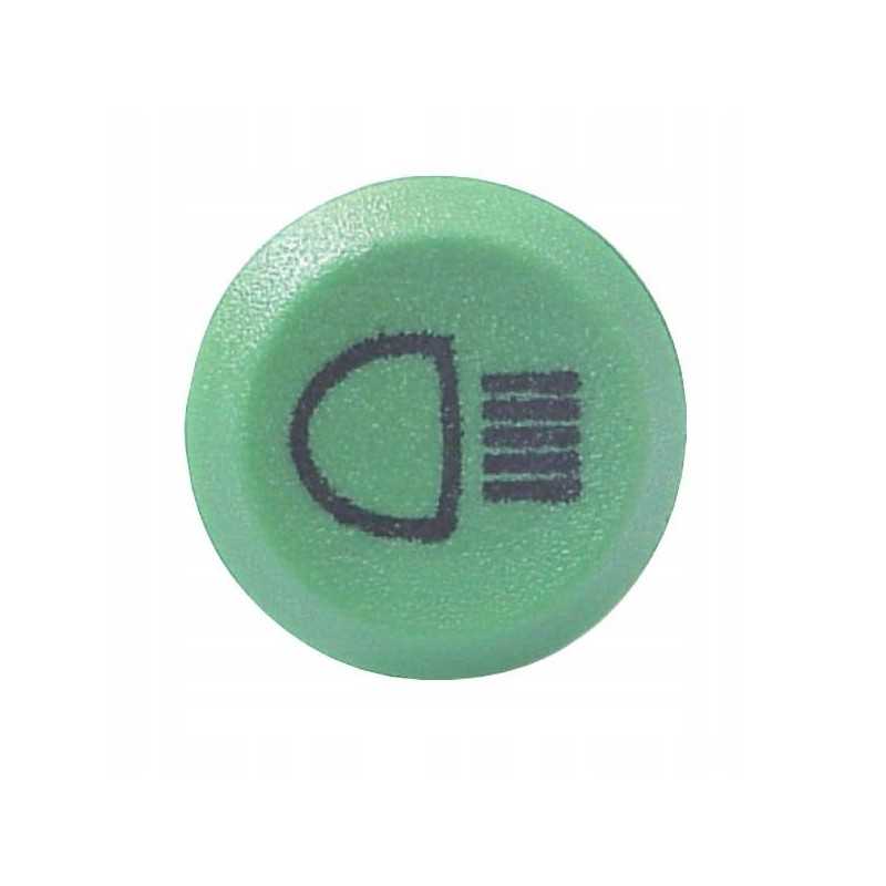 Renault Fendt Same G312900020020 šviesos jungiklis