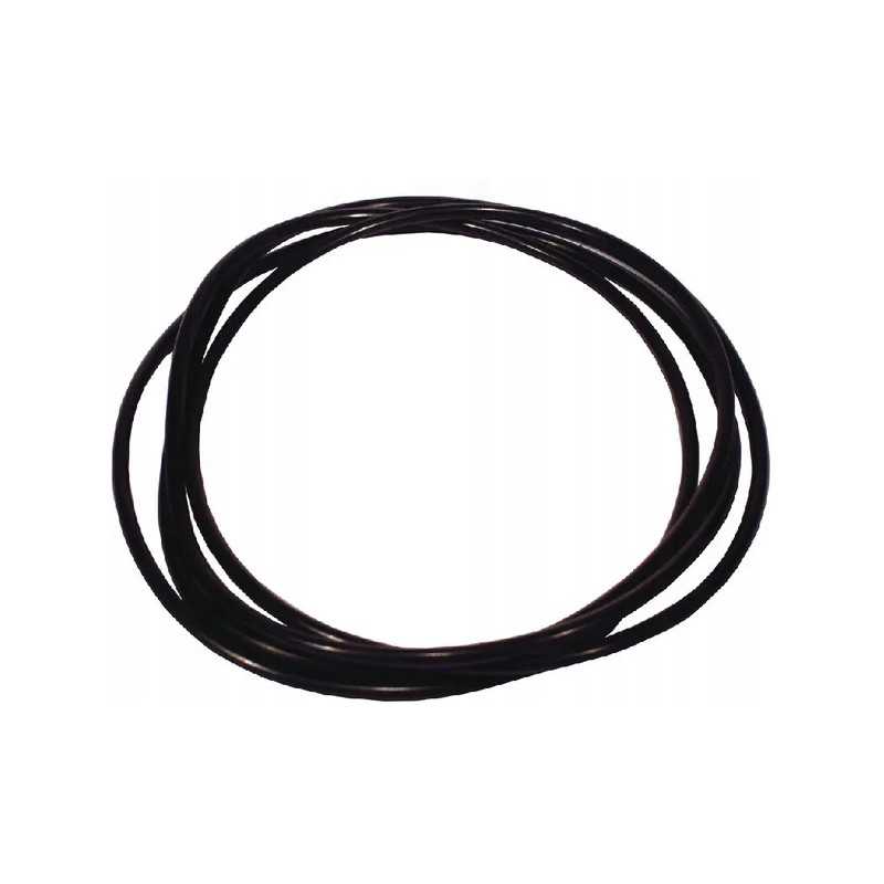 Pagrindinio stabdžių cilindro žiedo sandarinimo žiedas