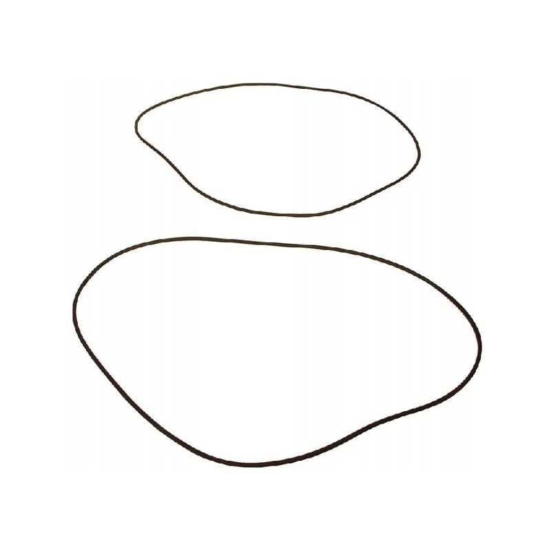 Pagrindinio stabdžių cilindro žiedo sandarinimo žiedas