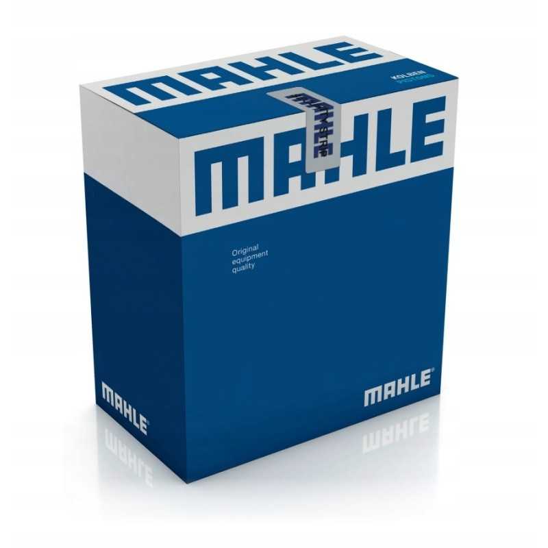 Mahle švaistiklio guoliai 439 ps 21055 000