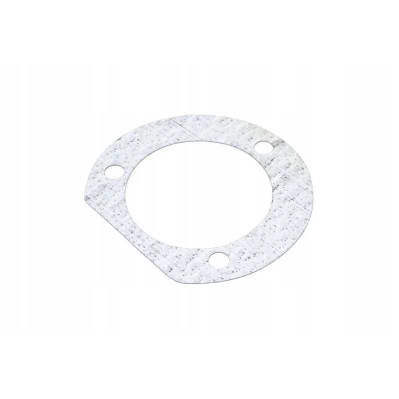 7700624976 mechaninės sankabos sandariklis