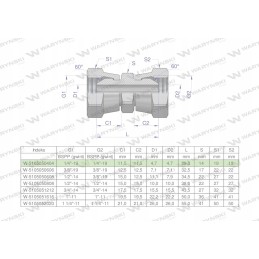 Colinė hidraulinė jungtis AA 1 4 BSP Warynski