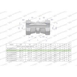 Colinė hidraulinė jungtis AA 3 8 BSP Warynski
