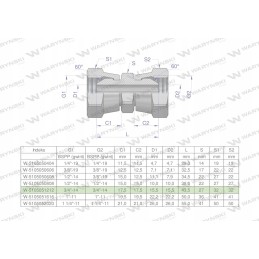 Colinė hidraulinė jungtis AA 3 4 Warynski BSP