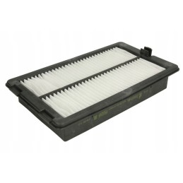 Donaldson išjungtas p500249 oro filtras