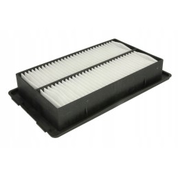 Donaldson išjungtas p500249 oro filtras