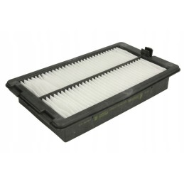 Donaldson išjungtas p500249 oro filtras