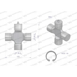 Plataus kampo veleno kryžius 30 2x100 6 Warynski