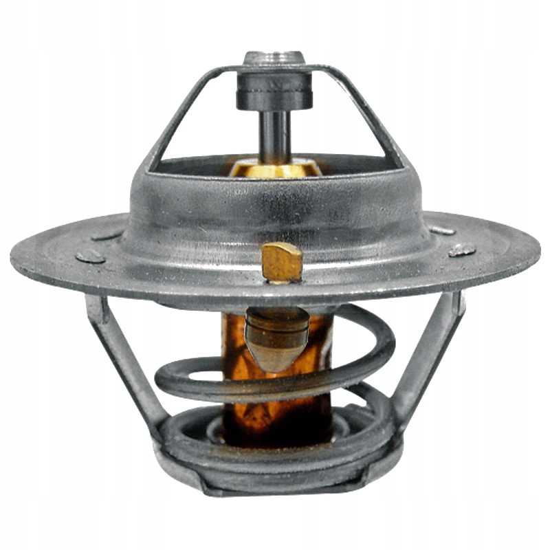 Termostatas Renault 54mm 74718044 granitas