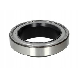 Atlaisvinimo guolio liukas 500 1210 10